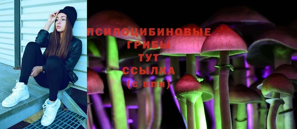 твердый Осташков
