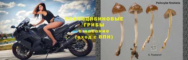 стаф Абаза