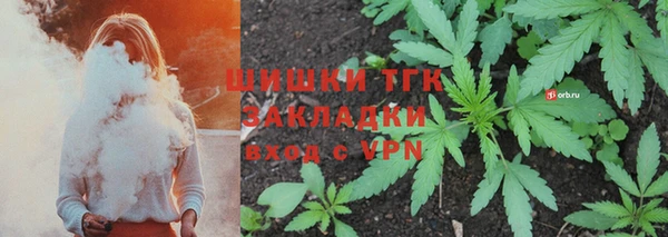 твердый Осташков